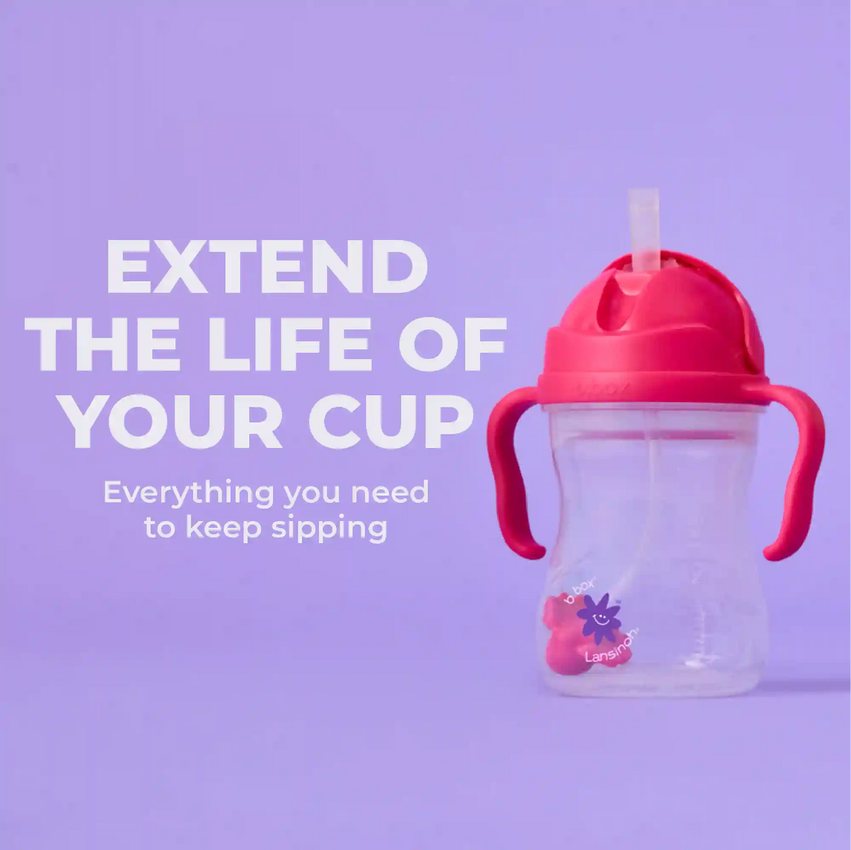 b.box + Lansinoh Replacement Straws + Cleaner